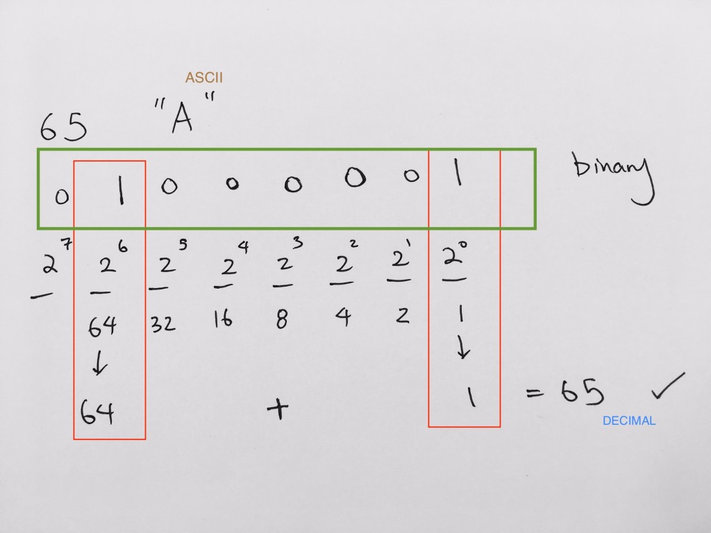 65_to_binary_3