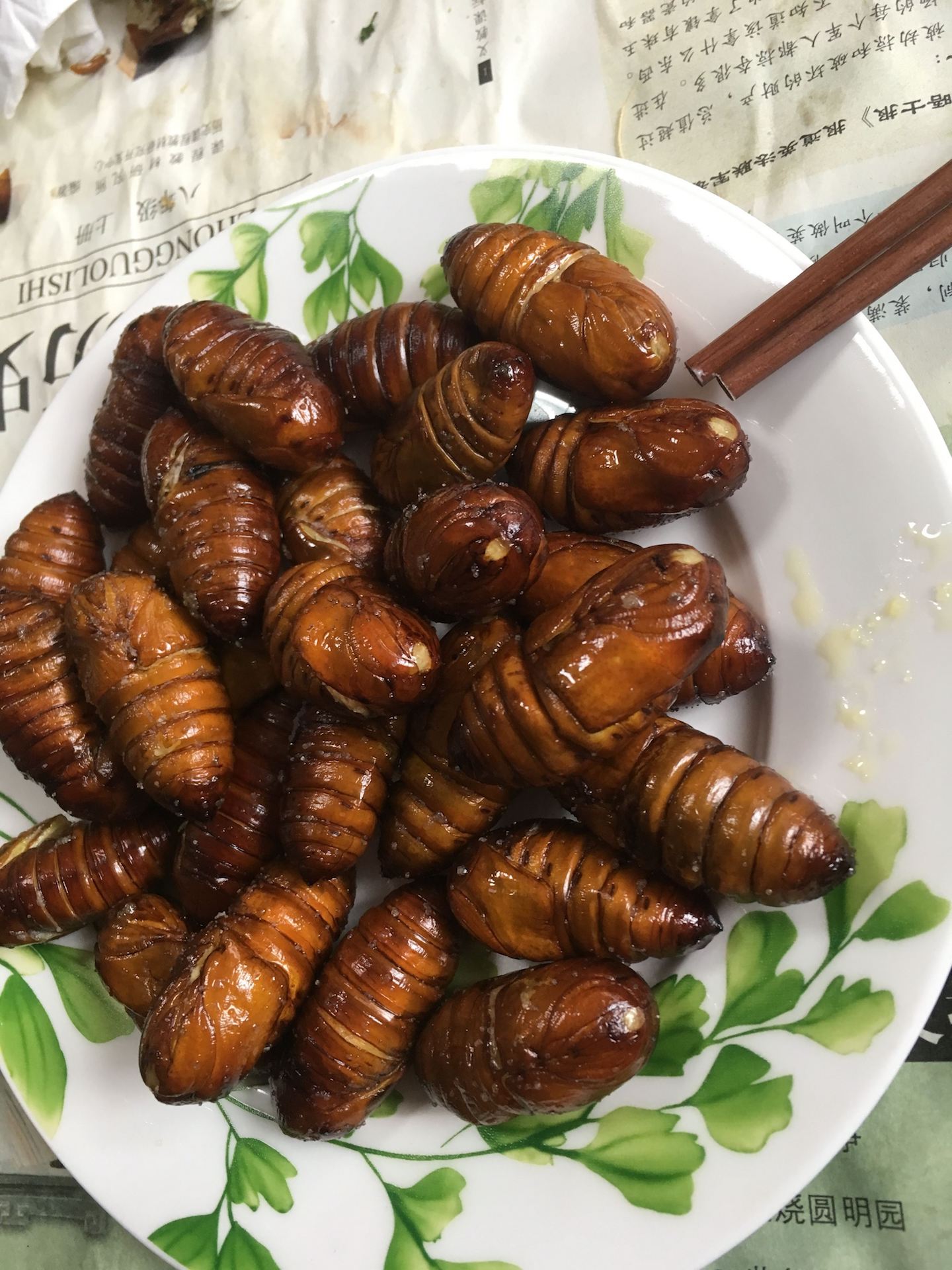 harbin-silkworm-pupa