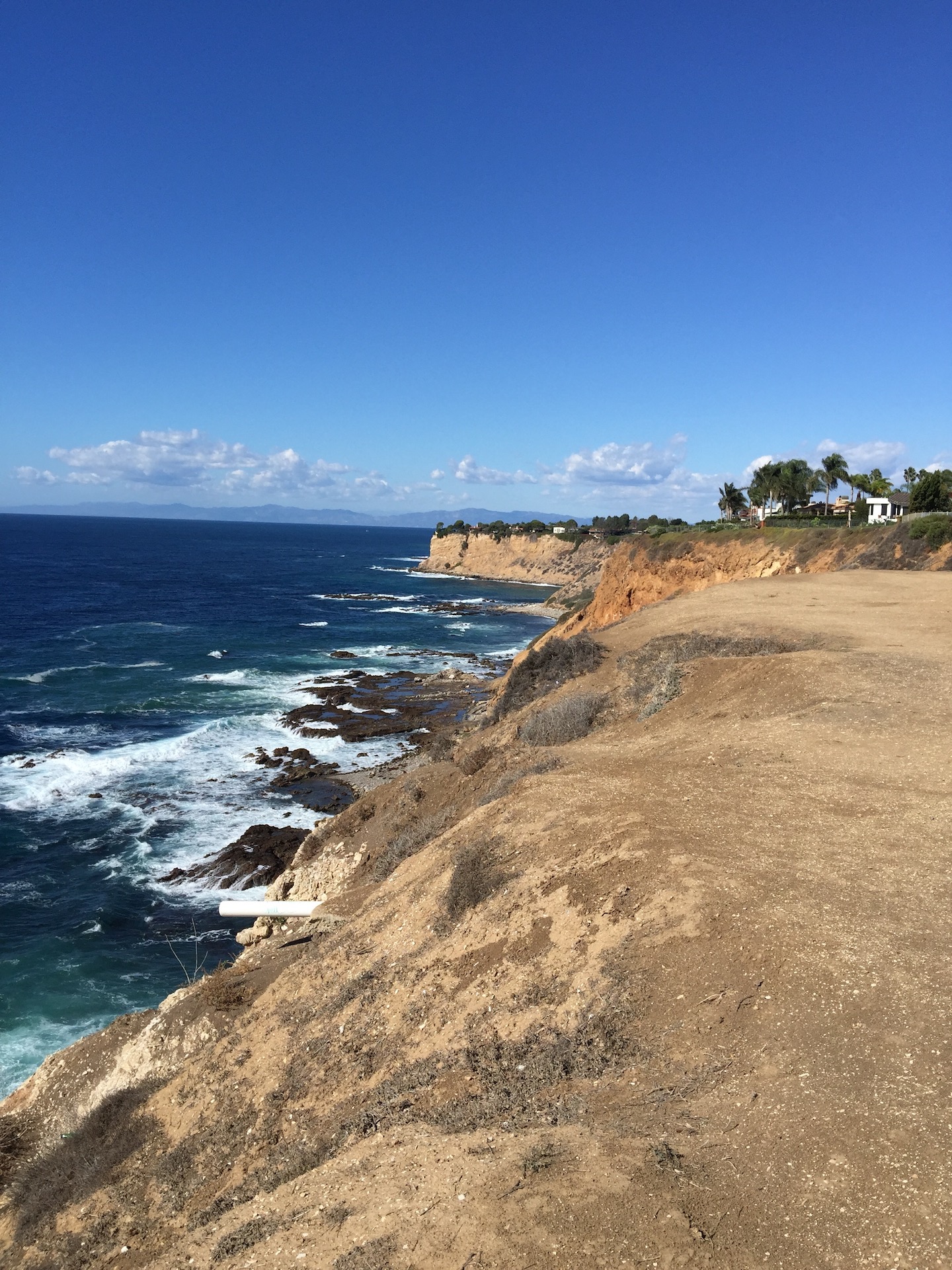 palos-verdes-cliff3